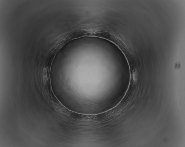 X0000089961347200707131529