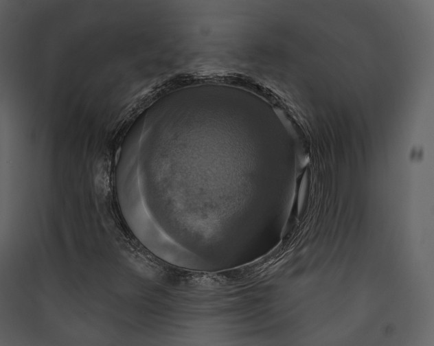 X0000089961348200707131529