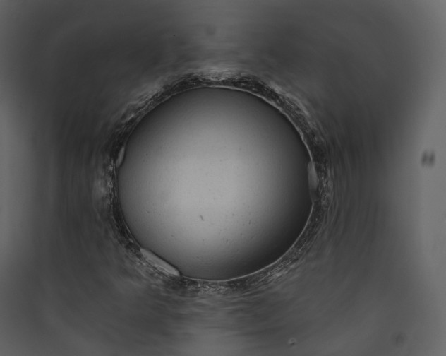 X0000089961349200707131528