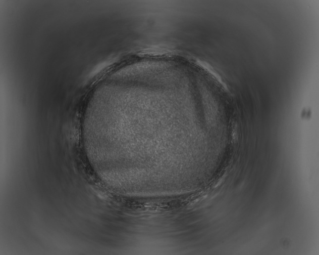 X0000089961350200707131528