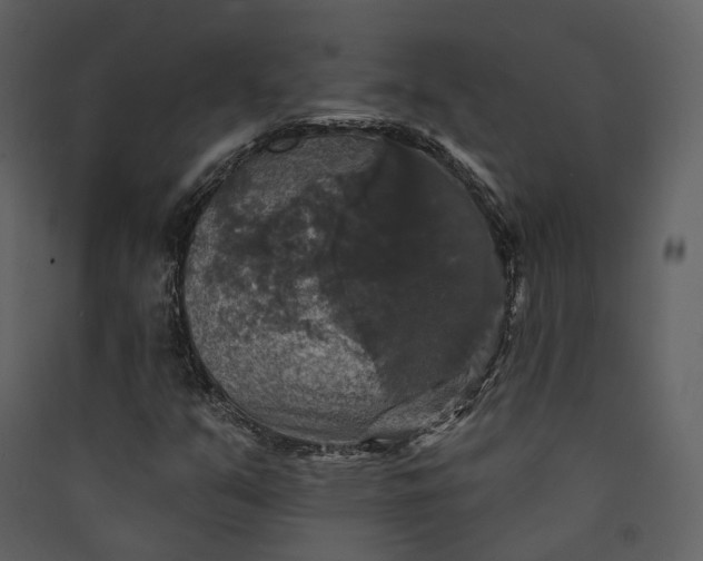 X0000089961351200707131528