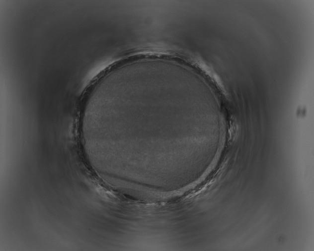 X0000089961352200707131528