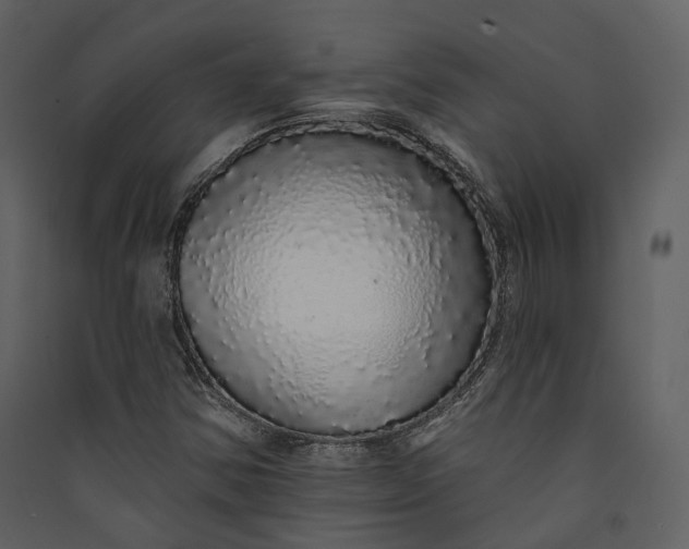 X0000089961354200707131528