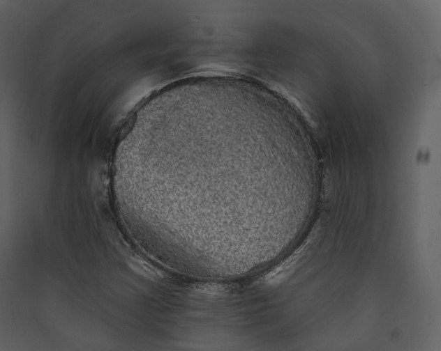 X0000089961355200707131528
