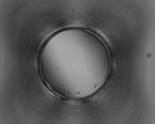 X0000089961356200707131528