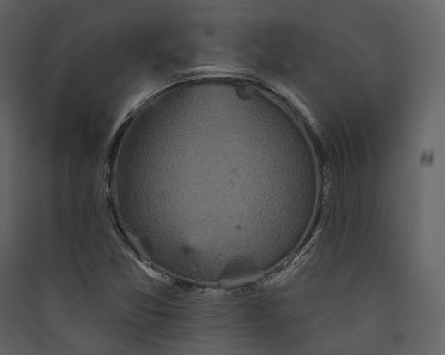 X0000089961357200707131528