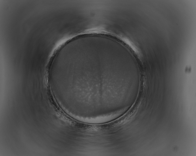 X0000089961358200707131528