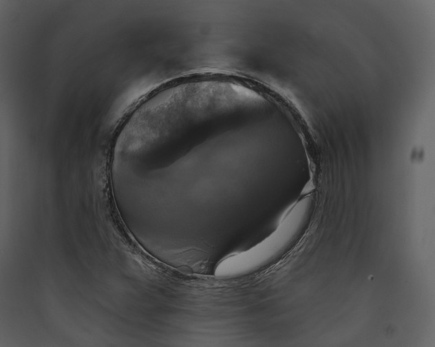 X0000089961359200707131528