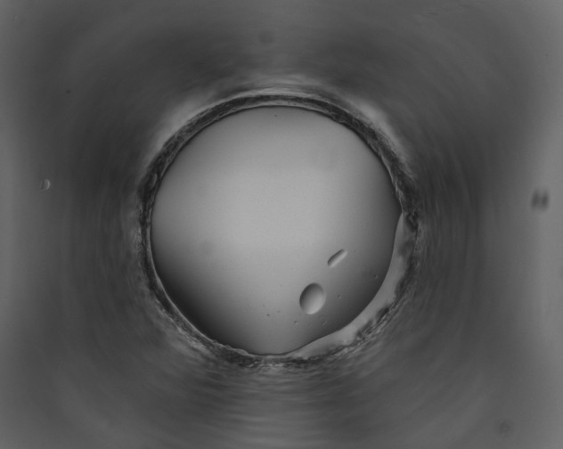 X0000089961360200707131528