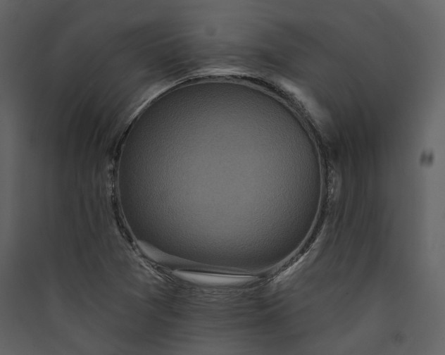 X0000089961361200707131528