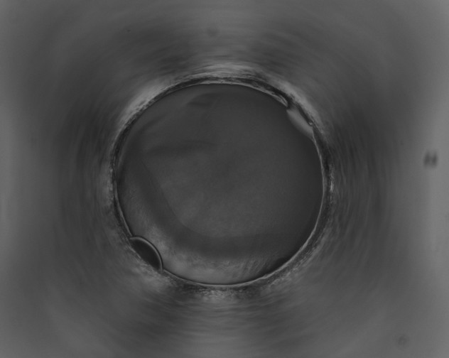 X0000089961362200707131528
