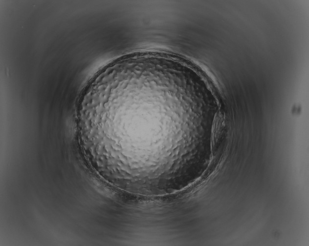 X0000089961363200707131528
