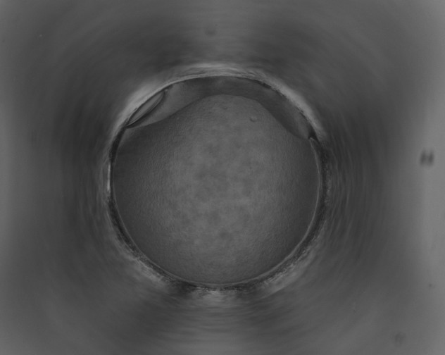 X0000089961365200707131528
