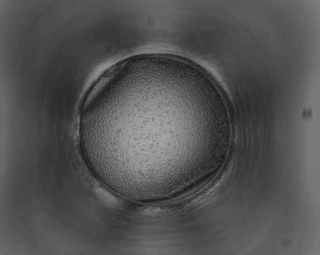 X0000089961366200707131528