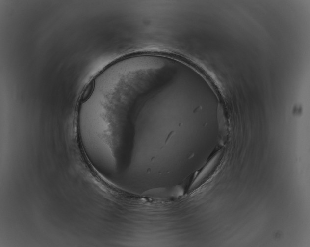 X0000089961367200707131528