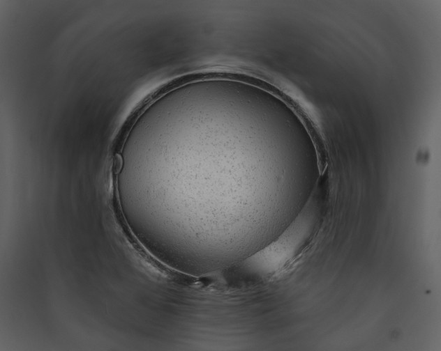 X0000089961368200707131528