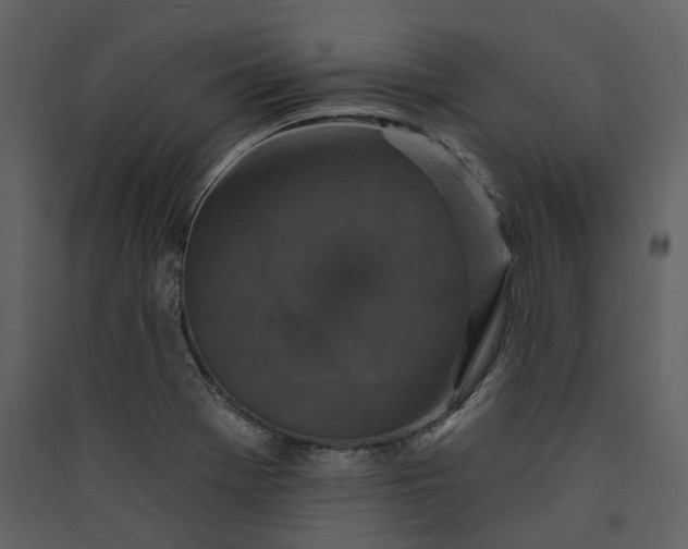X0000089961369200707131528