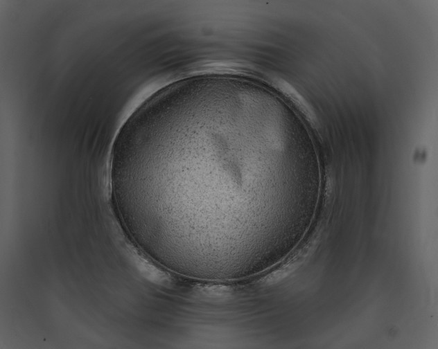X0000089961370200707131528