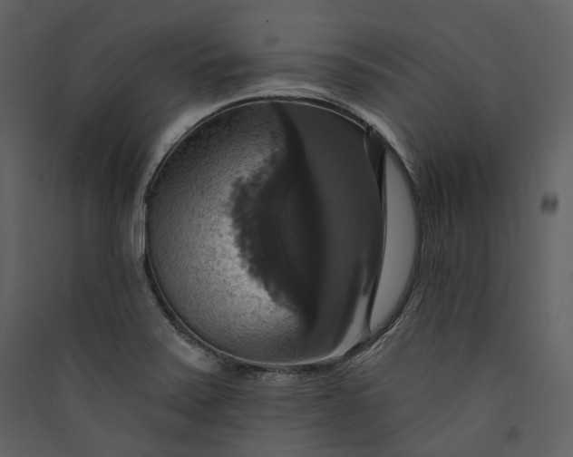 X0000089961371200707131528