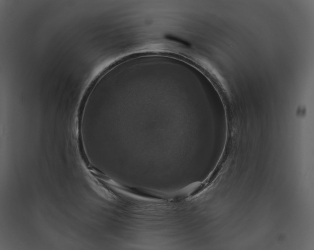 X0000089961372200707131528