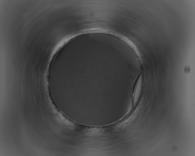 X0000089961373200707131528