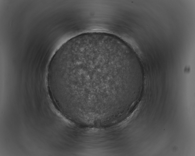 X0000089961374200707131528