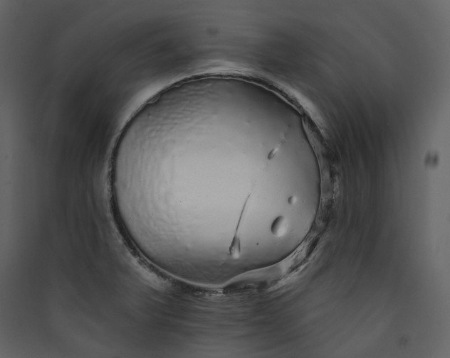 X0000089961375200707131528