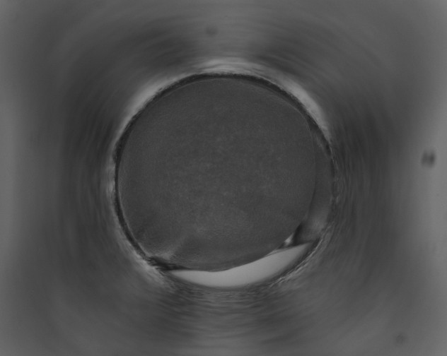X0000089961376200707131528