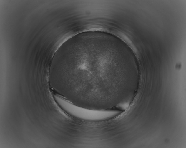 X0000089961377200707131528