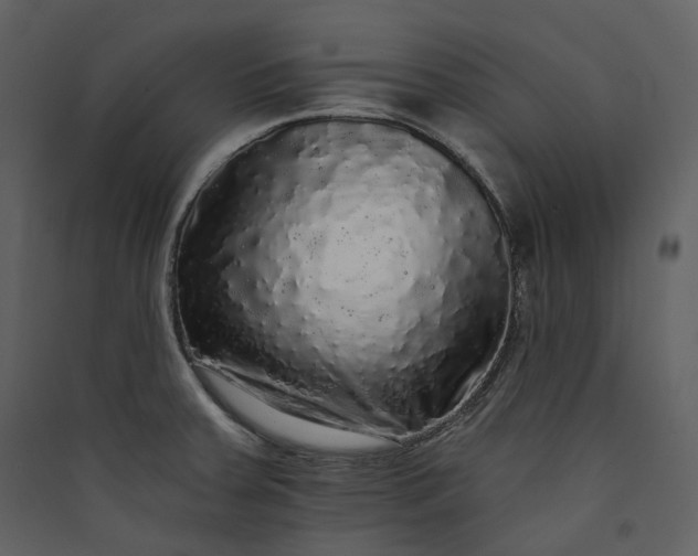 X0000089961379200707131528