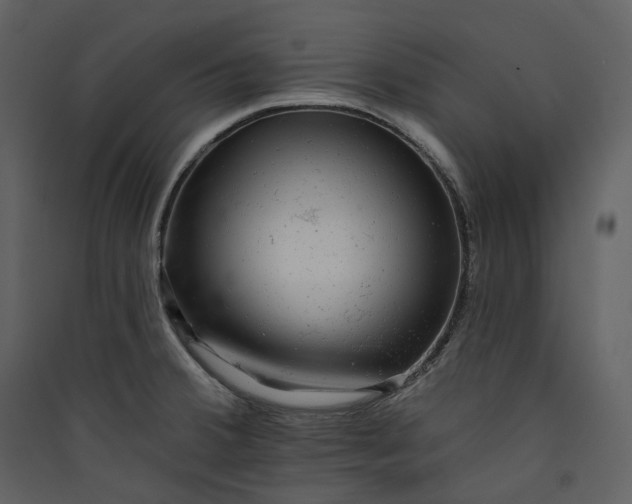 X0000089961380200707131528