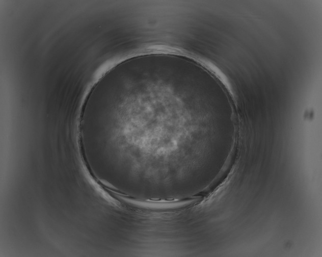 X0000089961381200707131528