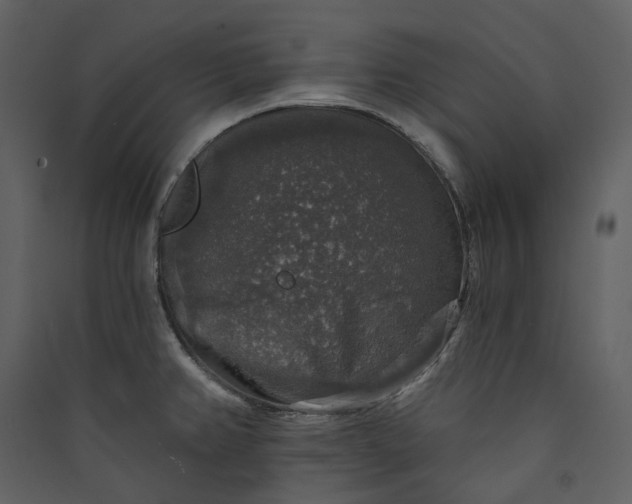 X0000089961382200707131528