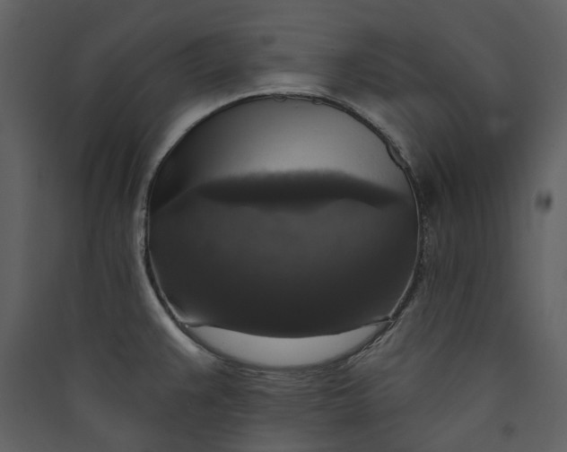 X0000089961383200707131528