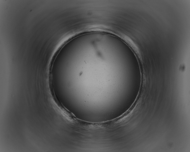 X0000089961384200707131528