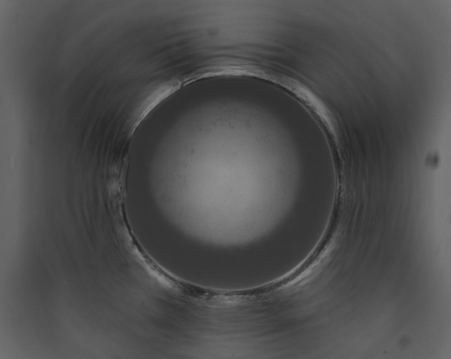X0000089961385200707131528