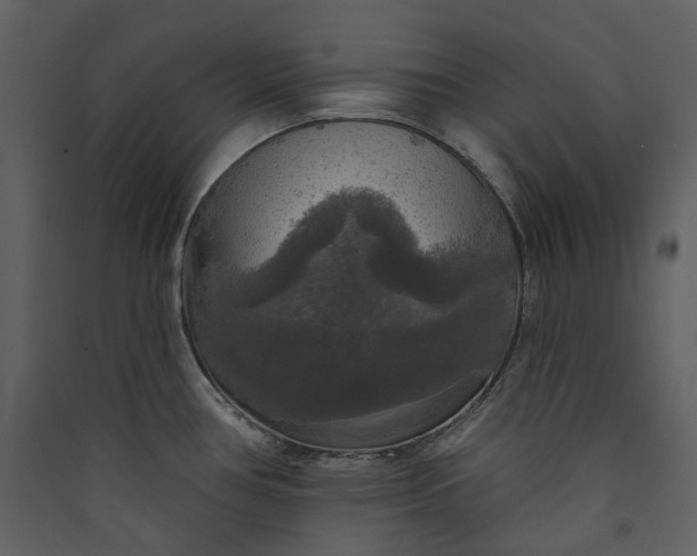 X0000089961386200707131528