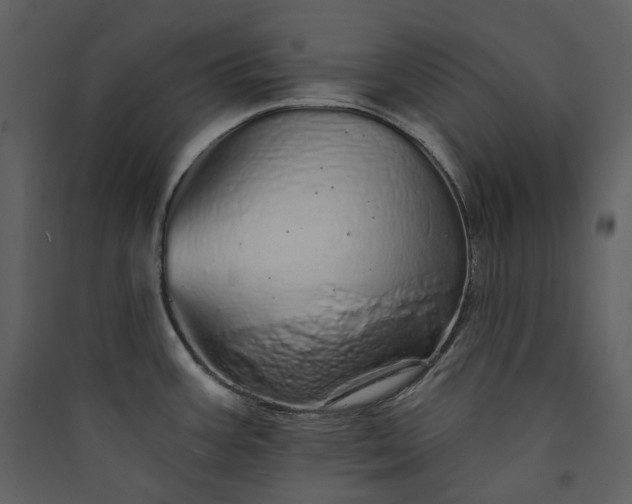X0000089961387200707131528