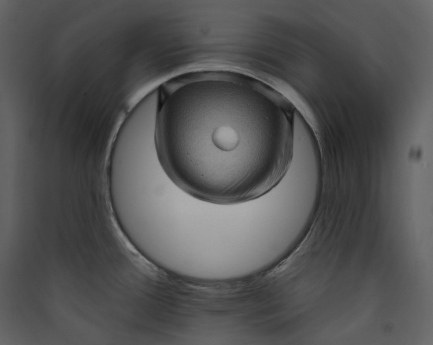 X0000089961388200707131528