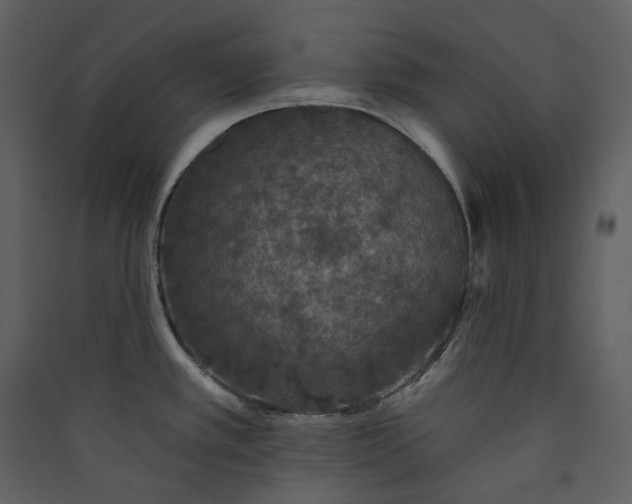 X0000089961389200707131528