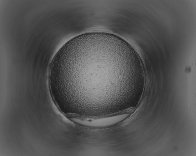 X0000089961390200707131528