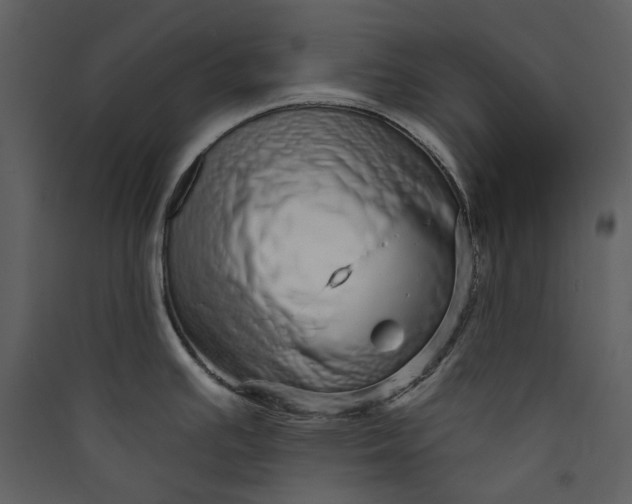 X0000089961391200707131528