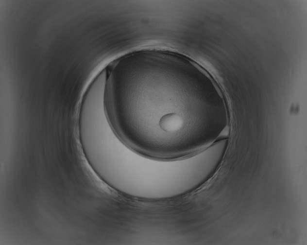 X0000089961392200707131528