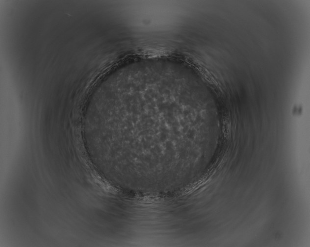 X0000089961393200707131527