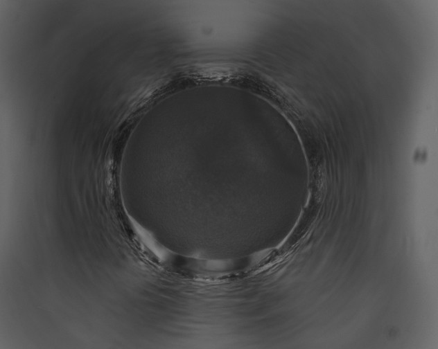 X0000089961394200707131527