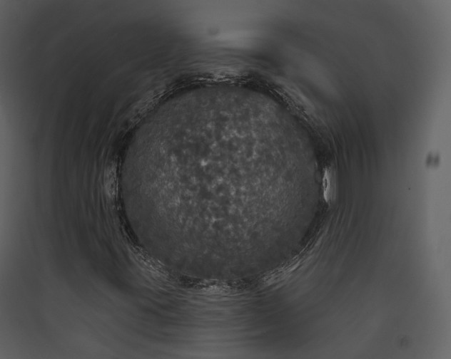 X0000089961395200707131527