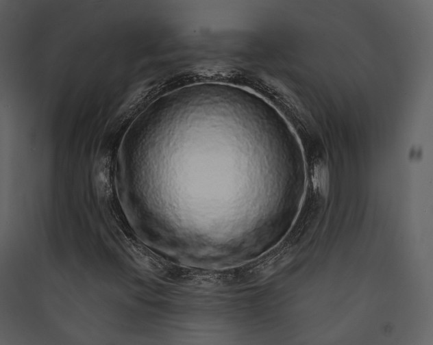 X0000089961396200707131527