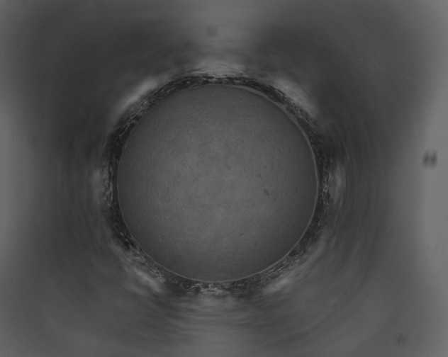 X0000089961398200707131527