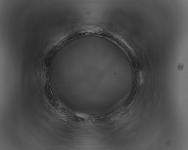 X0000089961399200707131527