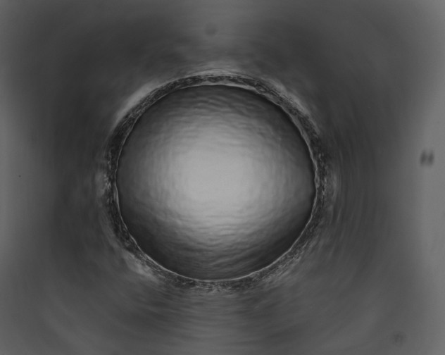 X0000089961400200707131527